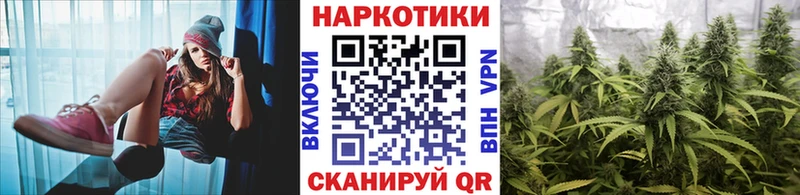 Купить Елизаветинская mega зеркало Марихуана СК Героин Меф ГАШИШ КОКАИН