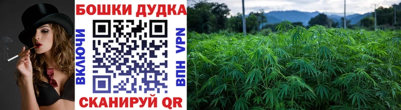 Бошки марихуана White Widow  мега маркетплейс  Елизаветинская 